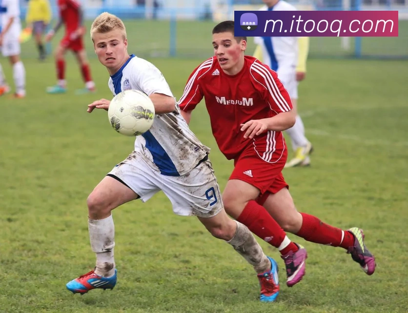 j9游会j9官网首页登录入口APP 封面图